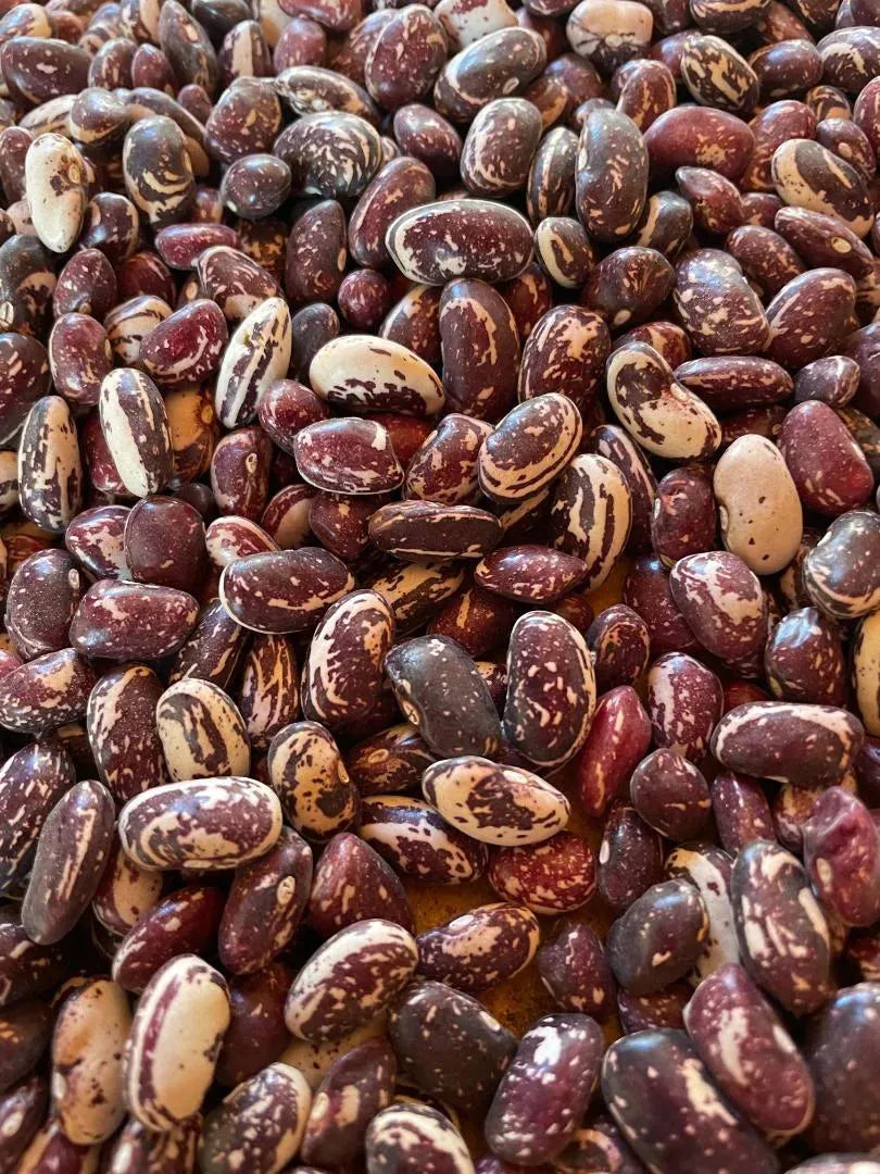 Good Mother Stallard Beans Rio del Rey Heirloom Beans Buck's Bucks