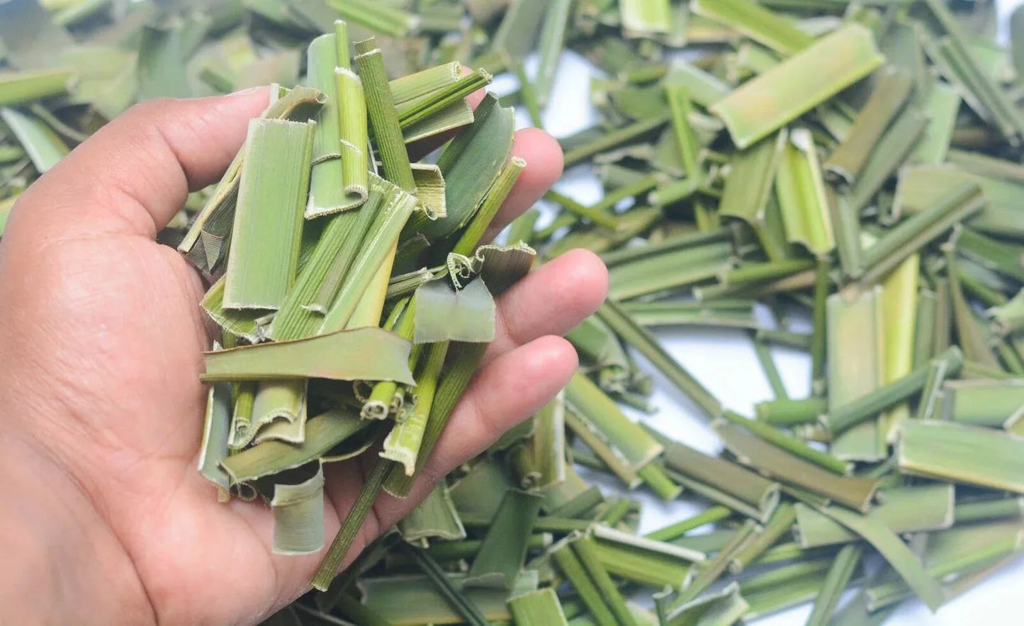 Organic Dried Pandan Leaf Tea